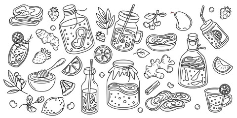 Monochrome outline of kombucha drinks, fruits, spices, and jars. A detailed sketch-style vector perfect for design projects and coloring pages.
