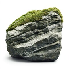 Moss-Covered Gneiss Rock moss rock moss-covered.