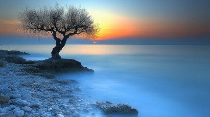Solitary Tree at Sunset: A Serene Coastal Scene