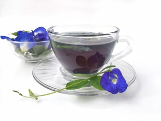 Boiled butterfly pea flower water in a glass on white background. Healthy herbal drink 