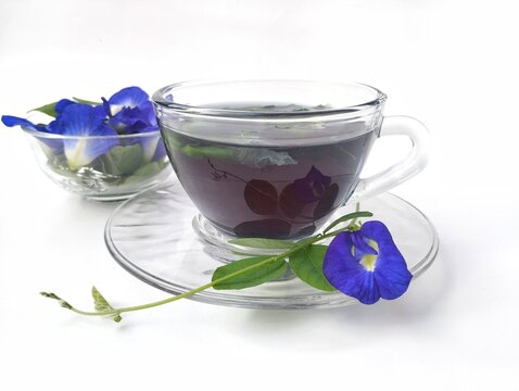 Boiled butterfly pea flower water in a glass on white background. Healthy herbal drink 