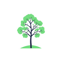 tree png