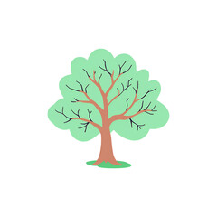 tree png