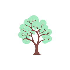 Fototapeta premium tree png