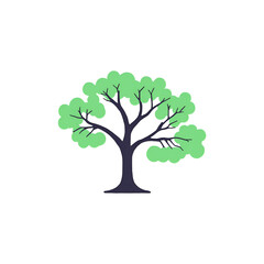 Fototapeta premium tree png