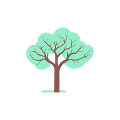 tree png