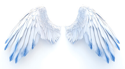 Fototapeta premium Wings, wallpaper, the beautiful symbol of freedom