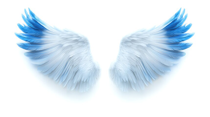 Obraz premium Wings, wallpaper, the beautiful symbol of freedom