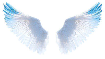 Obraz premium Wings, wallpaper, the beautiful symbol of freedom