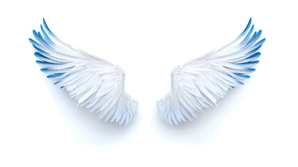 Fototapeta premium Wings, wallpaper, the beautiful symbol of freedom