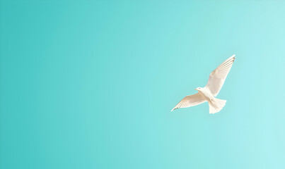 Fototapeta premium White Bird Flying Against Soft Turquoise Sky in Minimalist Style