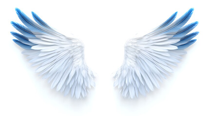 Fototapeta premium Wings, wallpaper, the beautiful symbol of freedom