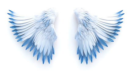 Obraz premium Wings, wallpaper, the beautiful symbol of freedom