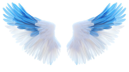 Obraz premium Wings, wallpaper, the beautiful symbol of freedom