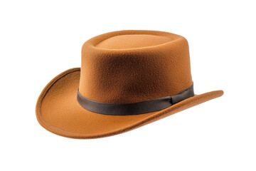 Brown hat with a brown band and a brown feather on it, isolated