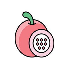 Passion Fruit Vector icon