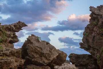 奄美大島の海岸周辺の風景