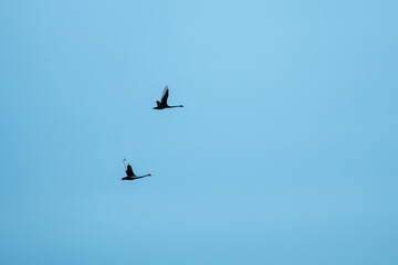 Sunset Avenue is a semi-circular seaside street that encircles Village Bay, offering beautiful scenic views along the way. it is located in Lake Macquarie.