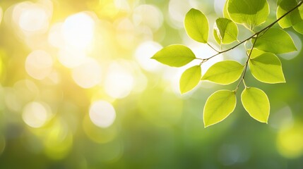 Enchanted Garden Path with Orange Tulips and Stone Steps