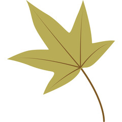 Maple Leaf Illustration