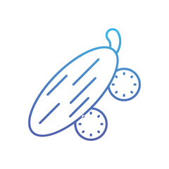 Cucumber Vector icon