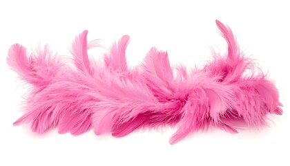 Obraz premium Pink feather boa isolated on white background, party isolated png like style.. Isolated on white background 