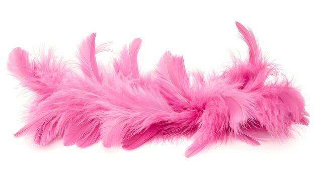 Pink feather boa isolated on white background, party isolated png like style.. Isolated on white background 