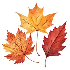Obraz premium Rustic Woodland Watercolor Leaves in Autumn Hues