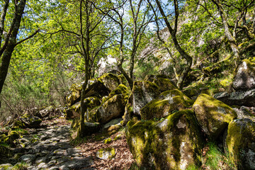 Walking around the Penameda hill in national park Peneda Geres in Portugal.