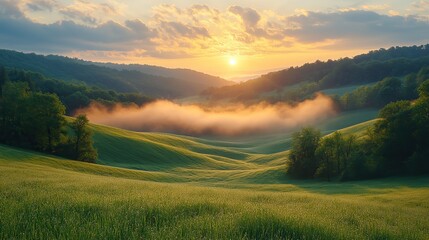Fototapeta premium peaceful countryside with sunlit grass soft morning light misty horizon