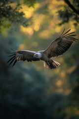 Digital Illustration of a Vulture Perched on a Bare Tree Branch Against a Stunning Sunrise or Sunset Sky with Orange and Yellow Hues &ndash; A Serene and Peaceful Wildlife Scene