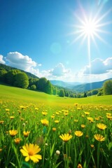 Sun-drenched meadow, vibrant yellow wildflowers carpet the landscape , flora, nature photography