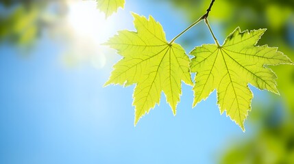 Two White Geese on a Tropical Beach with Hibiscus Flowers