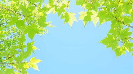 Obraz premium Pink And Yellow Tropical Flowers Near Water