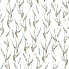 Seamless watercolor pattern with dry meadow plants hand drawn in herbarium style. Wild leaves seamless background. Winter pattern.