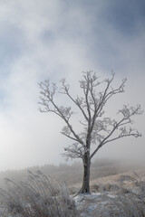 美しい青空と霧氷