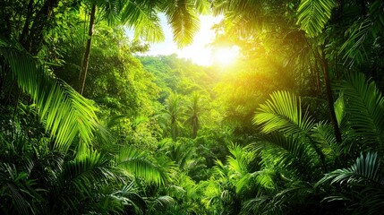 Obraz premium A tropical rainforest summer background where lush green leaves, exotic flowers, and sunlight filtering through the trees create a vibrant jungle atmosphere