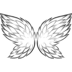 pencil sketch angel wings