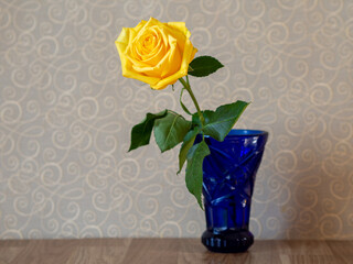 A yellow rose in a blue glass vase. Flowers in the interior. Congratulations on the holidays. The yellow rose or lucky flower
