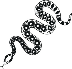 Black-and-white terrarium snake vector illustration