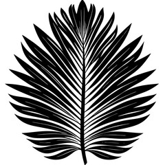 Obraz premium Black Palm