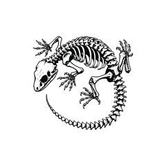 black and white illustration of gecko skeleton, hand drawn vintage style, vector illustration