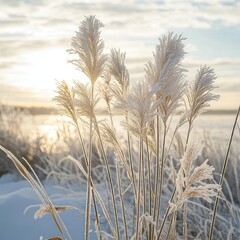 Obraz premium Frozen grasses at sunrise by the lake