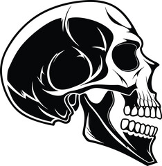 Skull Silhouette, Vector Design, Skull Icon