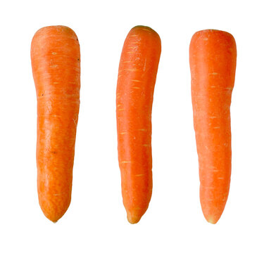 Three carrot vegetables isolated on a white background vegetables orange Local carrot berastagi wortel