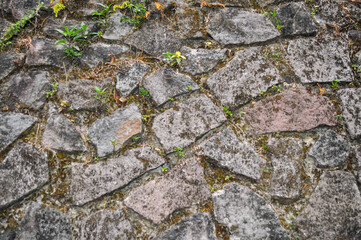texture and color of the surface of the stone wall