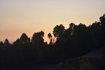 Serene twilight landscape featuring dark tree silhouettes against a colorful sunset sky. Ideal for nature lovers, meditation themes, and environmental backgrounds.