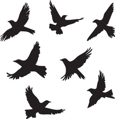 Silhouettes of birds set flying
