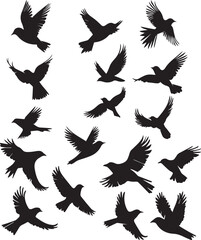 Set of birds flying vector silhouette