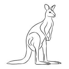 Kangaroo cartoon, vector illustration, kangaroo icon isolated on white background. Line art.